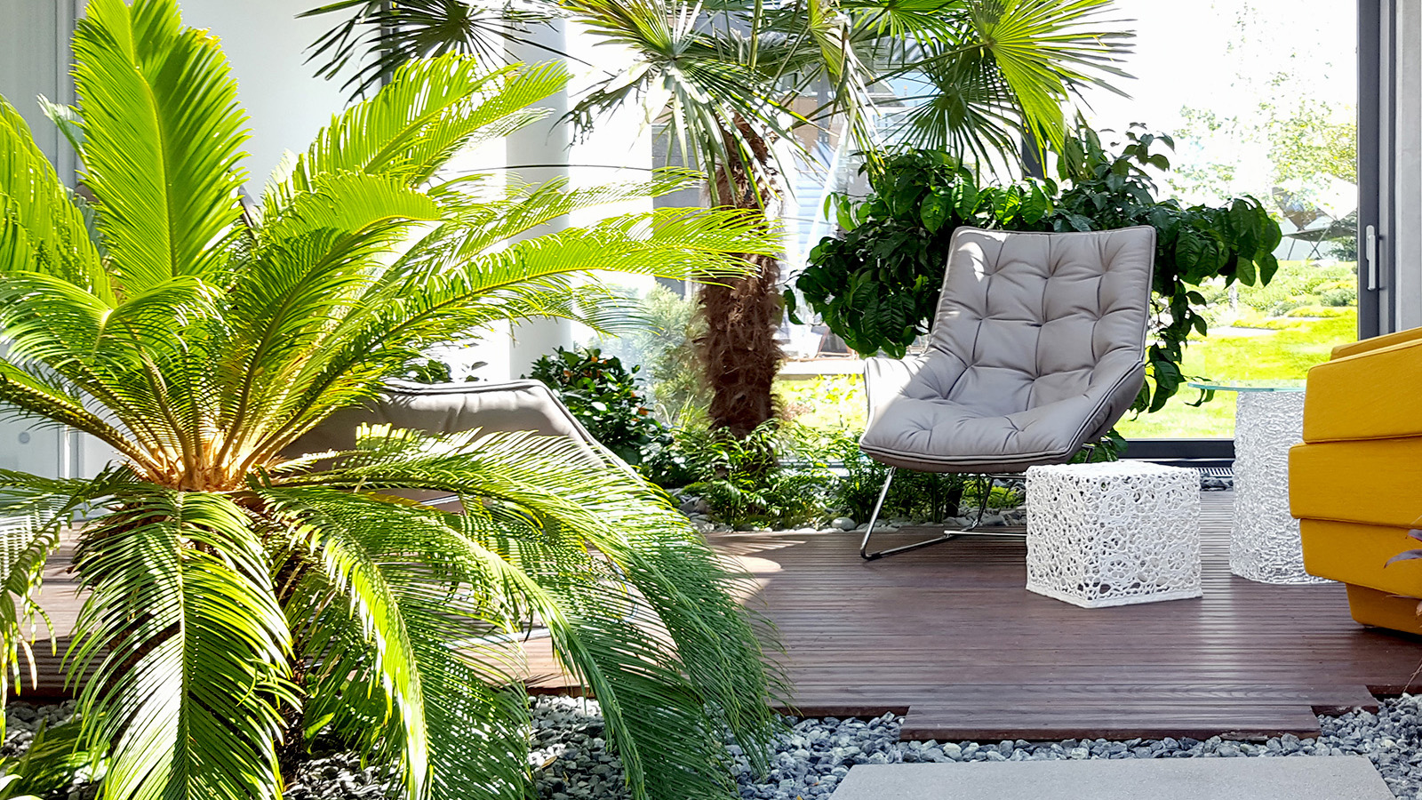 Greenhouse with exotic plants in a contemporary landscape